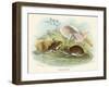 Two Wood Mice in the Undergrowth-Lizars-Framed Art Print