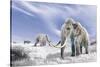 Two Woolly Mammoths in a Snow Covered Field with a Few Bison-null-Stretched Canvas