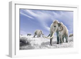 Two Woolly Mammoths in a Snow Covered Field with a Few Bison-null-Framed Art Print