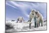 Two Woolly Mammoths in a Snow Covered Field with a Few Bison-null-Mounted Art Print