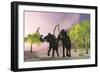 Two Woolly Mammoths Searching for Better Vegetation to Eat-null-Framed Premium Giclee Print