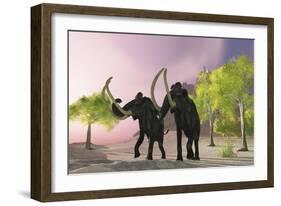 Two Woolly Mammoths Searching for Better Vegetation to Eat-null-Framed Art Print