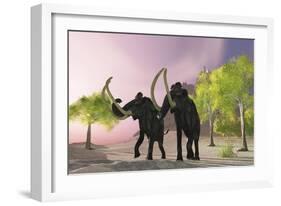 Two Woolly Mammoths Searching for Better Vegetation to Eat-null-Framed Art Print