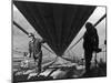 Two Workmen Adding Last Two Strands to Enormous Cables that Supports 6 Lane Golden Gate Bridge-Peter Stackpole-Mounted Photographic Print