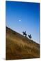 Two wranglers riding horses up a hill with full moon in background at blue hour-Sheila Haddad-Mounted Photographic Print