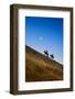 Two wranglers riding horses up a hill with full moon in background at blue hour-Sheila Haddad-Framed Photographic Print