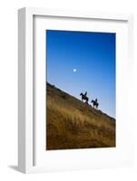 Two wranglers riding horses up a hill with full moon in background at blue hour-Sheila Haddad-Framed Photographic Print