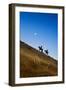 Two wranglers riding horses up a hill with full moon in background at blue hour-Sheila Haddad-Framed Photographic Print