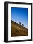 Two wranglers riding horses up a hill with full moon in background at blue hour-Sheila Haddad-Framed Premium Photographic Print