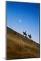 Two wranglers riding horses up a hill with full moon in background at blue hour-Sheila Haddad-Mounted Premium Photographic Print