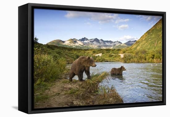 Two Year Old Grizzly Bears on Riverbank at Kinak Bay-Paul Souders-Framed Stretched Canvas