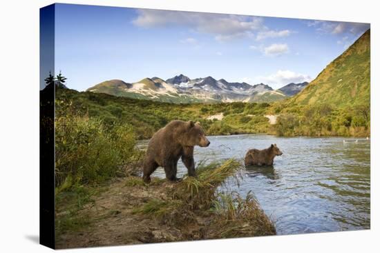 Two Year Old Grizzly Bears on Riverbank at Kinak Bay-Paul Souders-Stretched Canvas