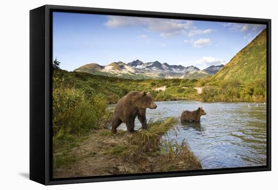 Two Year Old Grizzly Bears on Riverbank at Kinak Bay-Paul Souders-Framed Stretched Canvas