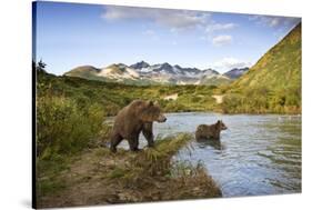 Two Year Old Grizzly Bears on Riverbank at Kinak Bay-Paul Souders-Stretched Canvas