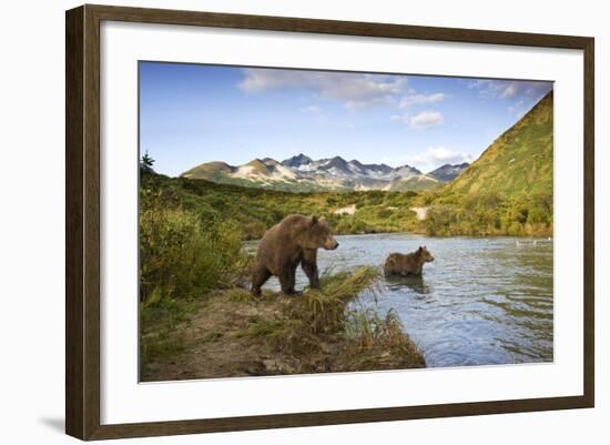 Two Year Old Grizzly Bears on Riverbank at Kinak Bay-Paul Souders-Framed Photographic Print