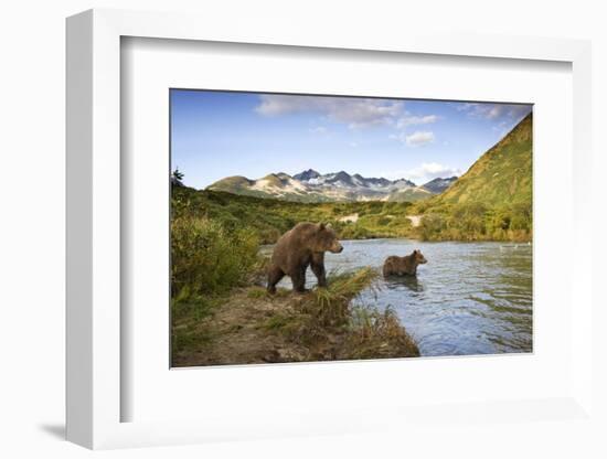 Two Year Old Grizzly Bears on Riverbank at Kinak Bay-Paul Souders-Framed Photographic Print