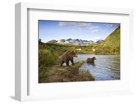 Two Year Old Grizzly Bears on Riverbank at Kinak Bay-Paul Souders-Framed Photographic Print