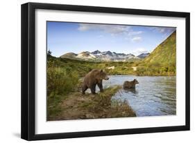 Two Year Old Grizzly Bears on Riverbank at Kinak Bay-Paul Souders-Framed Photographic Print