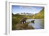 Two Year Old Grizzly Bears on Riverbank at Kinak Bay-Paul Souders-Framed Photographic Print