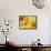 Two Yellow Chrysanthemums-Michelle Garrett-Framed Stretched Canvas displayed on a wall