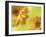 Two Yellow Chrysanthemums-Michelle Garrett-Framed Photographic Print