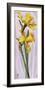 Two Yellow Daffodils-Maya Nishiyama-Framed Art Print