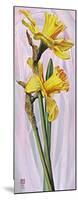 Two Yellow Daffodils-Maya Nishiyama-Mounted Art Print