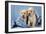 Two Yellow Labrador Puppies in Jeans-null-Framed Photographic Print