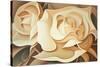 Two Yellow Roses-Lea Faucher-Stretched Canvas