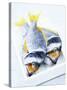 Two Yellowfin Seabream on Ice-Marc O^ Finley-Stretched Canvas