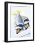 Two Yellowfin Seabream on Ice-Marc O^ Finley-Framed Photographic Print