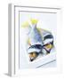 Two Yellowfin Seabream on Ice-Marc O^ Finley-Framed Photographic Print