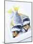 Two Yellowfin Seabream on Ice-Marc O^ Finley-Mounted Photographic Print