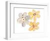 Two Yellows and One Grey-Susan Bryant-Framed Art Print