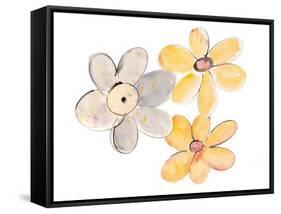 Two Yellows and One Grey-Susan Bryant-Framed Stretched Canvas