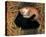 Two Ying Yang Kittens-null-Stretched Canvas