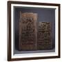 Two Yoruba Doors, One for a Shango Shrine, Both Carved in Relief with Varoius Figures-null-Framed Giclee Print