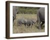 Two Young African Elephant, Masai Mara National Reserve-James Hager-Framed Photographic Print