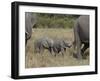 Two Young African Elephant, Masai Mara National Reserve-James Hager-Framed Photographic Print