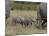 Two Young African Elephant, Masai Mara National Reserve-James Hager-Mounted Photographic Print