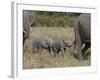 Two Young African Elephant, Masai Mara National Reserve-James Hager-Framed Photographic Print