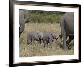 Two Young African Elephant, Masai Mara National Reserve-James Hager-Framed Photographic Print