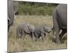 Two Young African Elephant, Masai Mara National Reserve-James Hager-Mounted Photographic Print