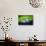 Two Young Baseball Fans Waiting for the Start of the Game, Yanke-Sabine Jacobs-Photographic Print displayed on a wall