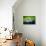 Two Young Baseball Fans Waiting for the Start of the Game, Yanke-Sabine Jacobs-Photographic Print displayed on a wall