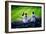 Two Young Baseball Fans Waiting for the Start of the Game, Yanke-Sabine Jacobs-Framed Photographic Print