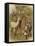 Two Young Children Feeding the Deer in a Park-null-Framed Stretched Canvas