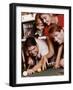 Two Young Couples Playing Pool-null-Framed Premium Photographic Print