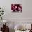 Two Young Couples Playing Pool-null-Photographic Print displayed on a wall