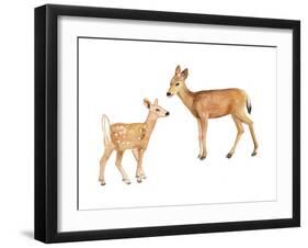 Two Young Deer-Lanie Loreth-Framed Art Print